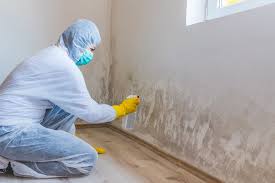  Stottville, NY Mold Remediation Pros